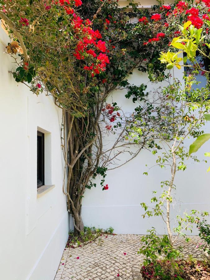 Pdm 66 Praia Da Luz Exterior foto